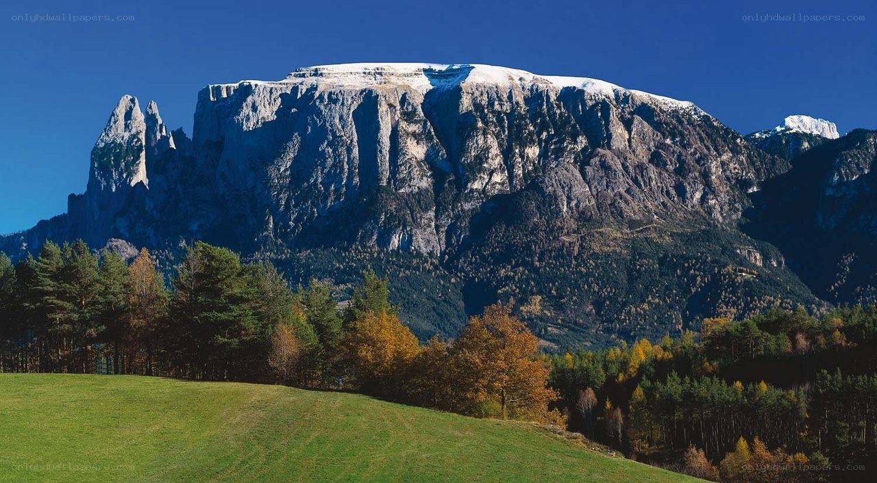Snow-capped mountain with autumn forest