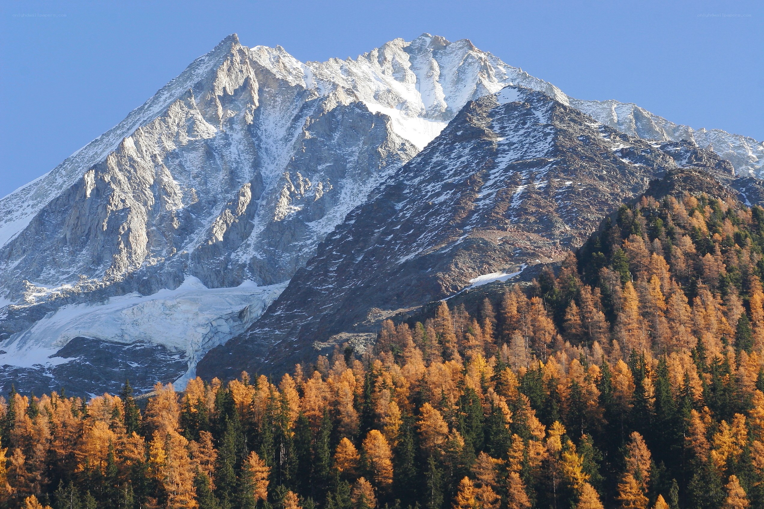 Snow-capped mountain with autumn forest