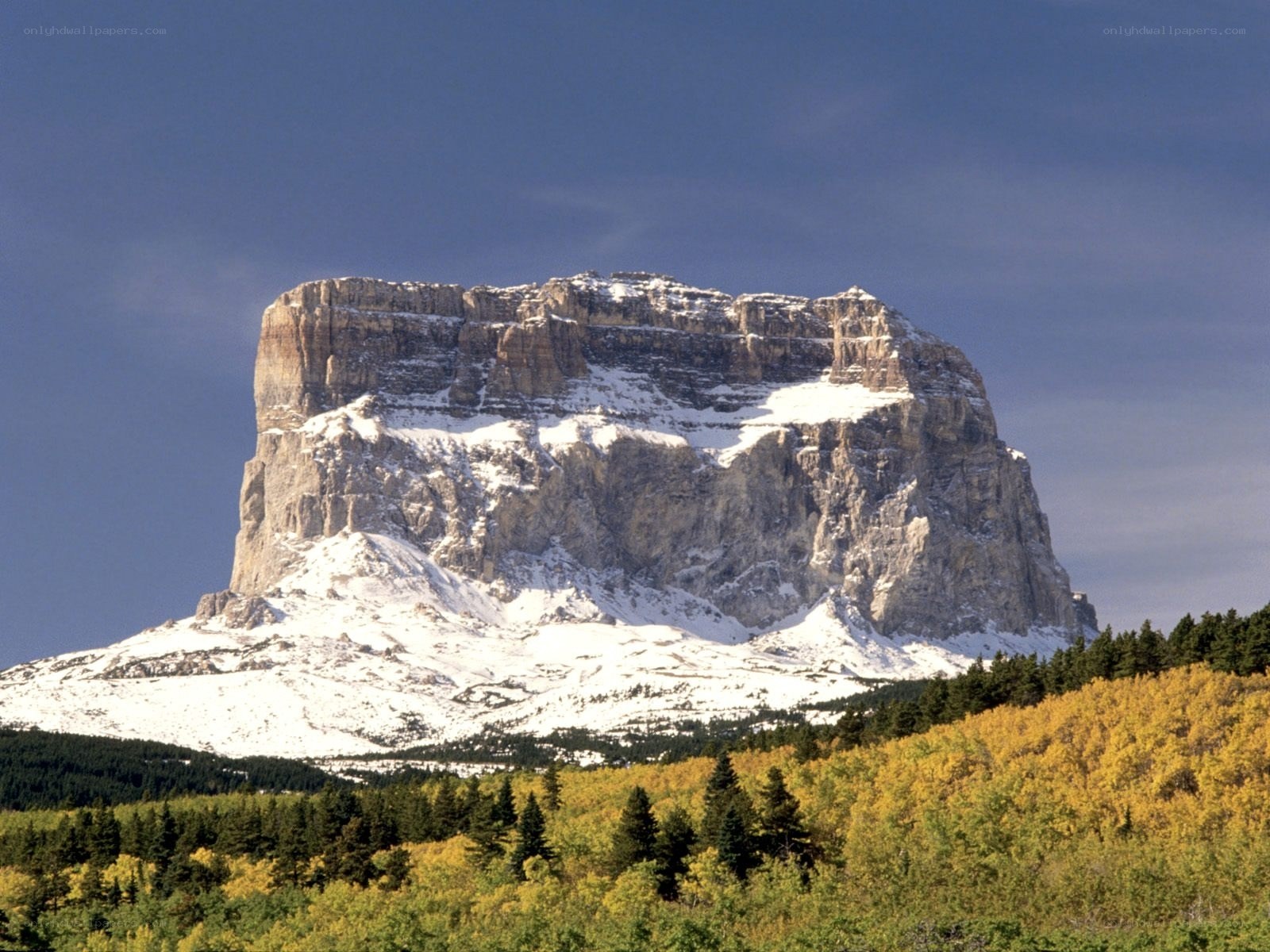 Snow-capped mountain with autumn forest