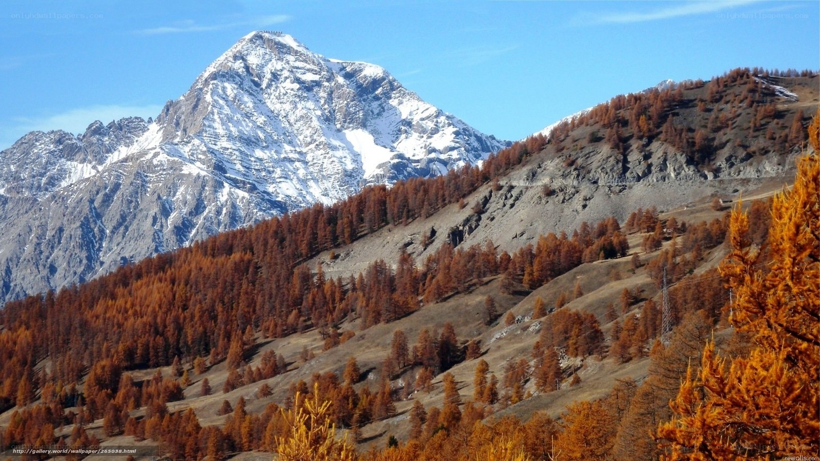 Snow-capped mountain with autumn trees