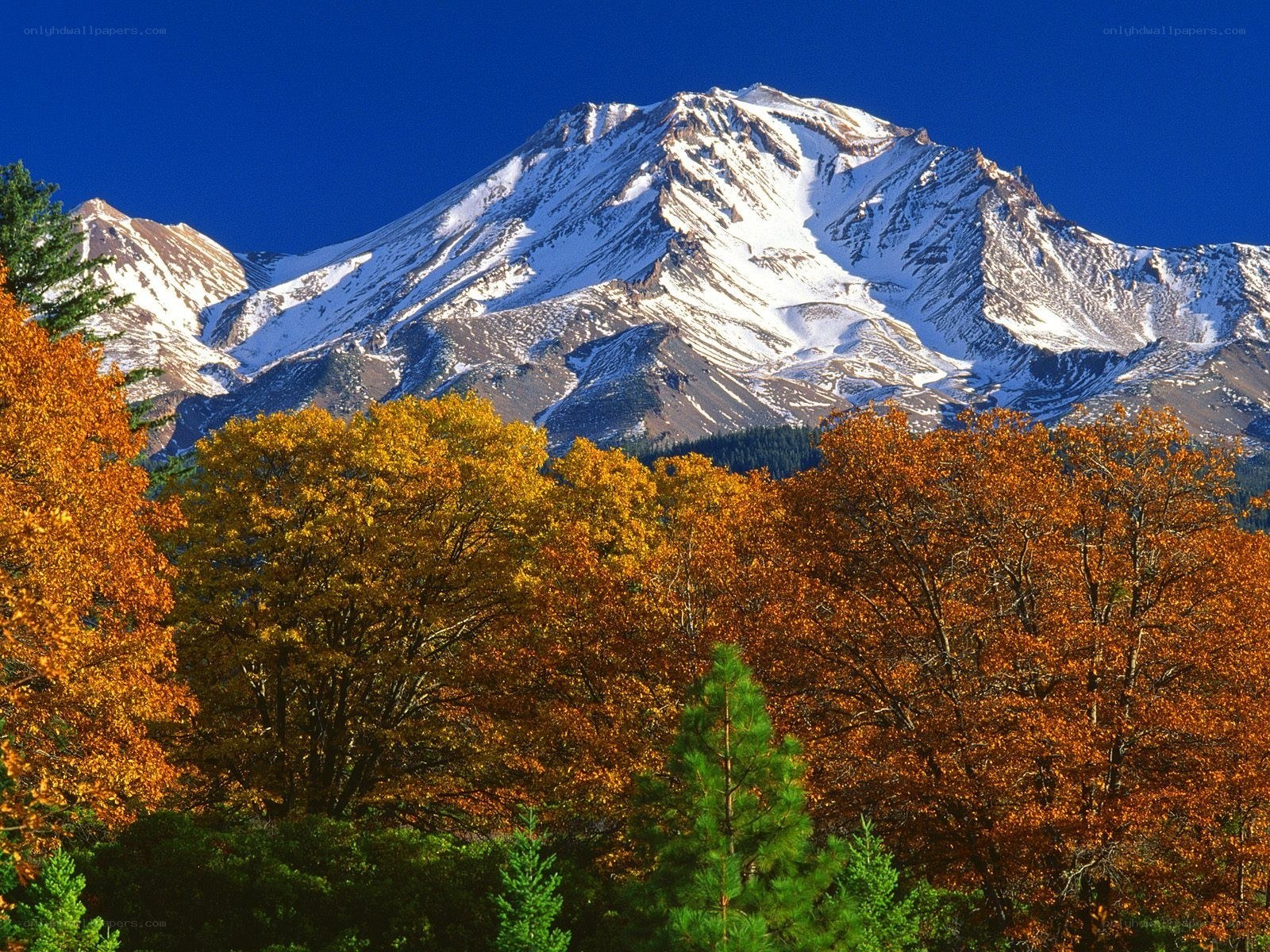 Snow-capped mountain with autumn trees