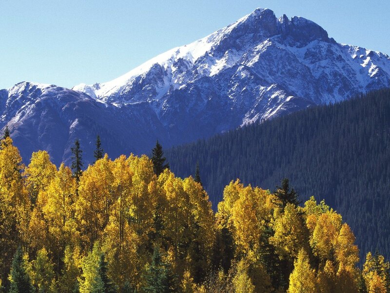 Snow-capped mountain with autumn trees