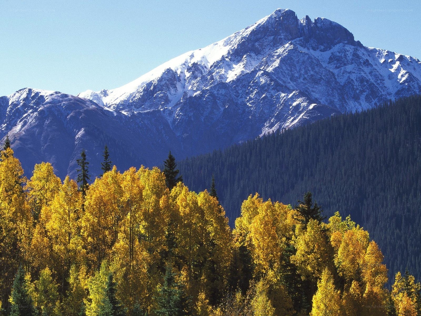 Snow-capped mountain with autumn trees