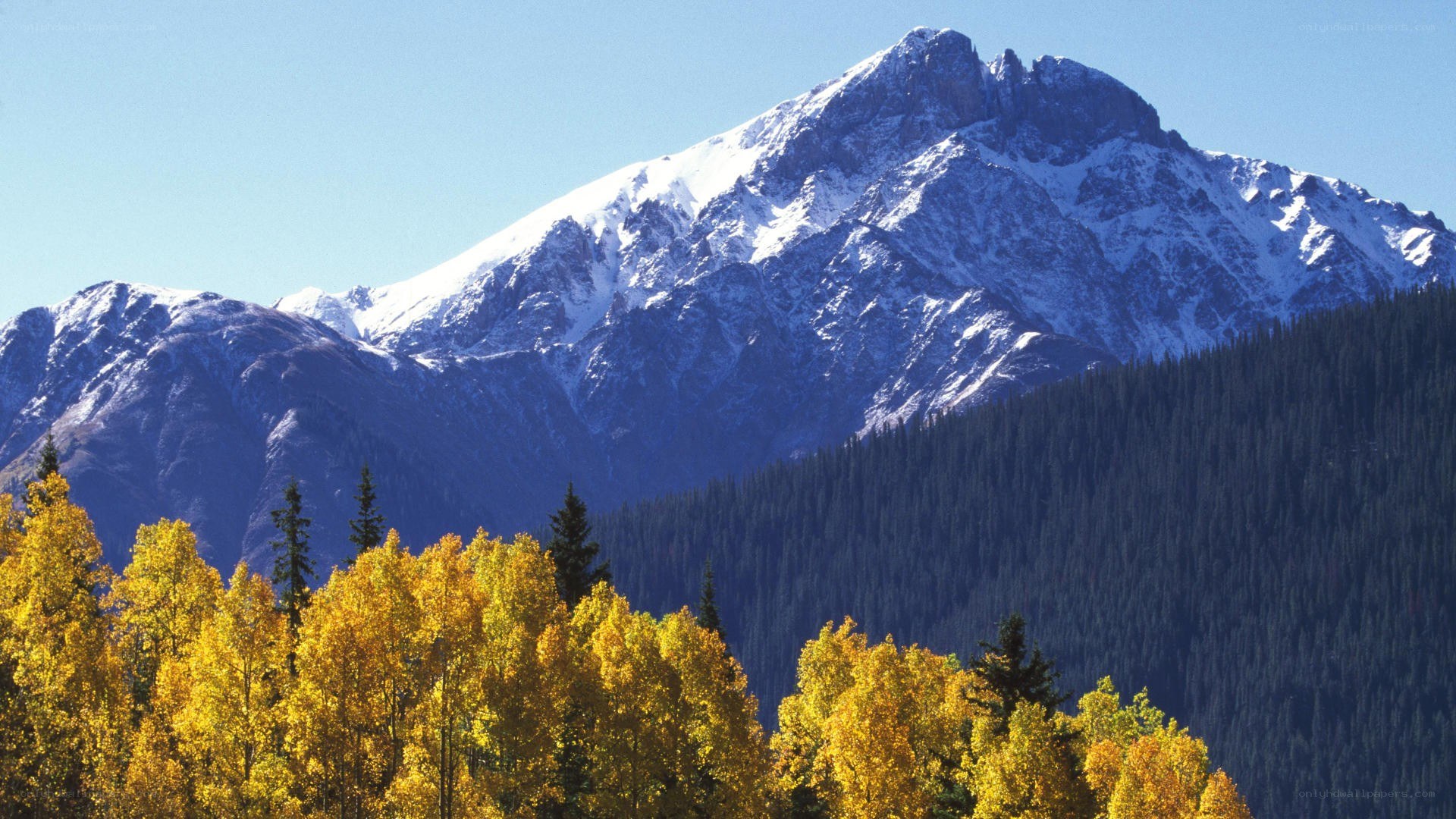 Snow-capped mountain with autumn trees
