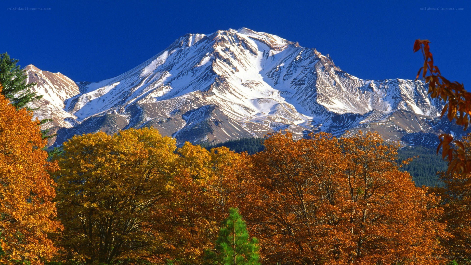 Snow-capped mountain with autumn trees
