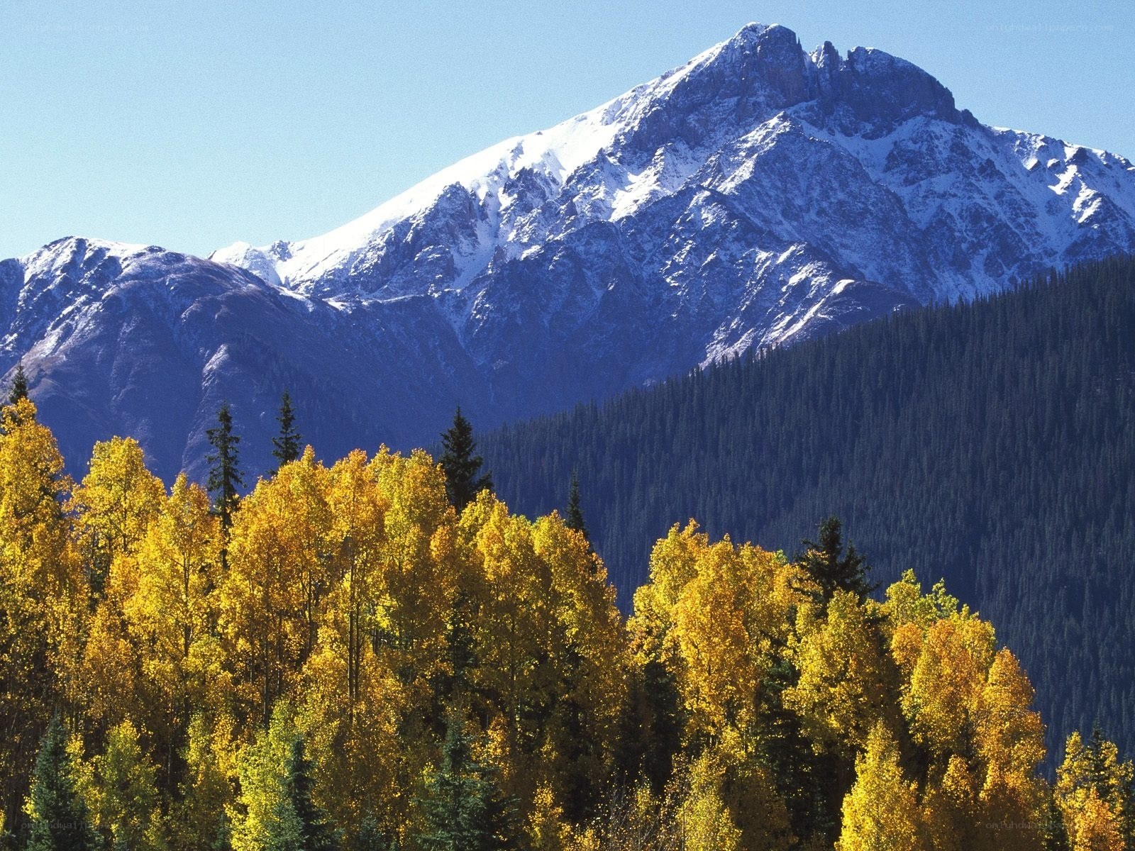 Snow-capped mountain with autumn trees