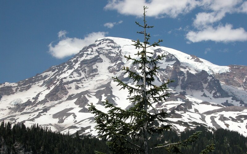 Snow-capped mountain with evergreen tree