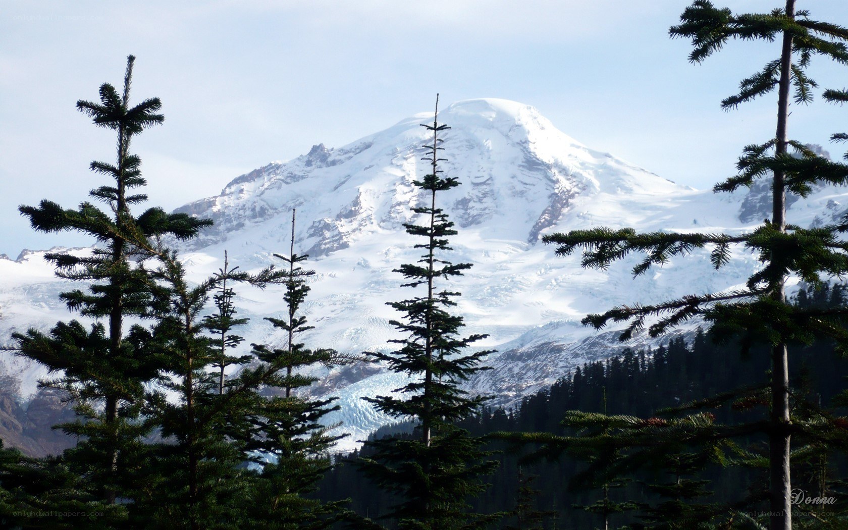Snow-capped mountain with evergreens