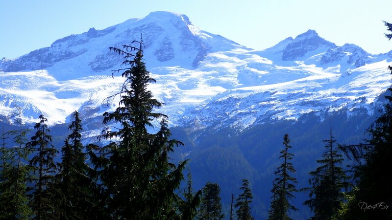 Snow-capped mountain with evergreens