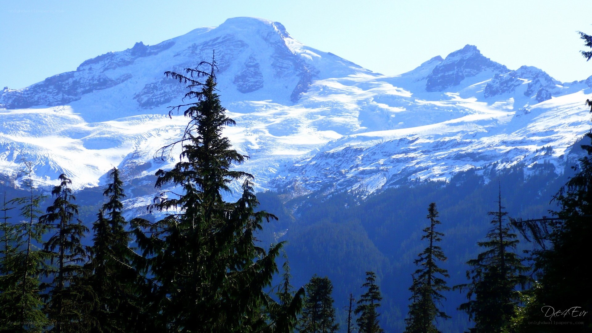 Snow-capped mountain with evergreens