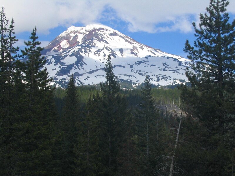Snow-capped mountain with forest