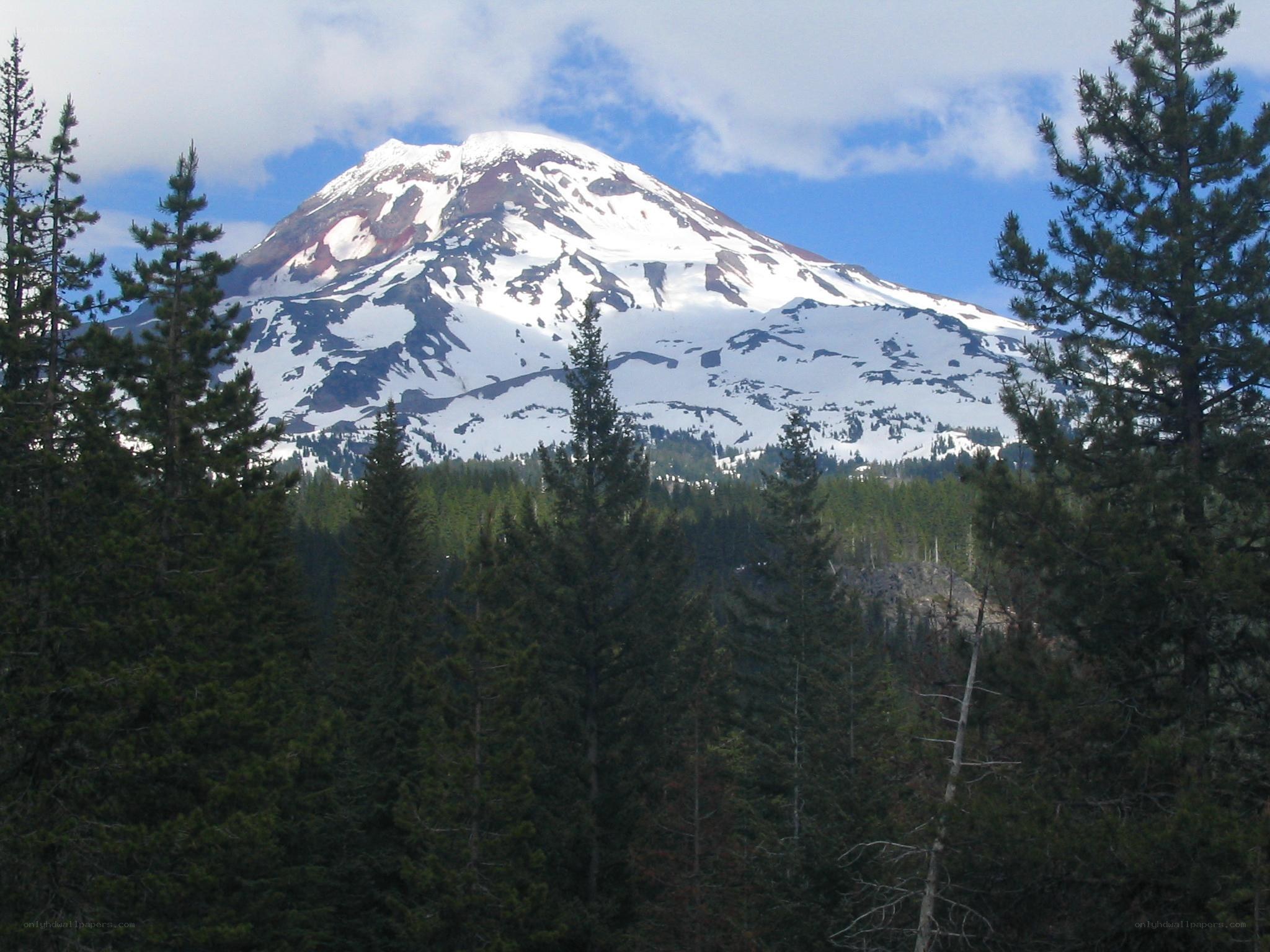 Snow-capped mountain with forest