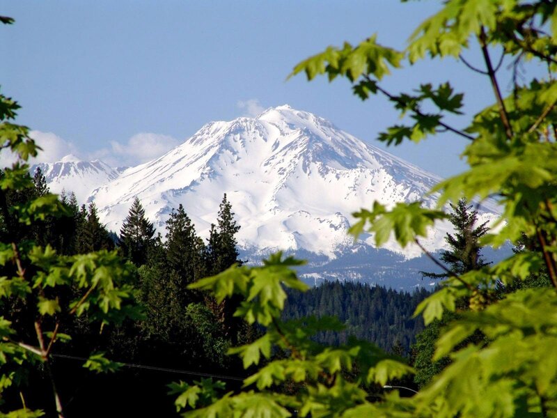 Snow-capped mountain with forest