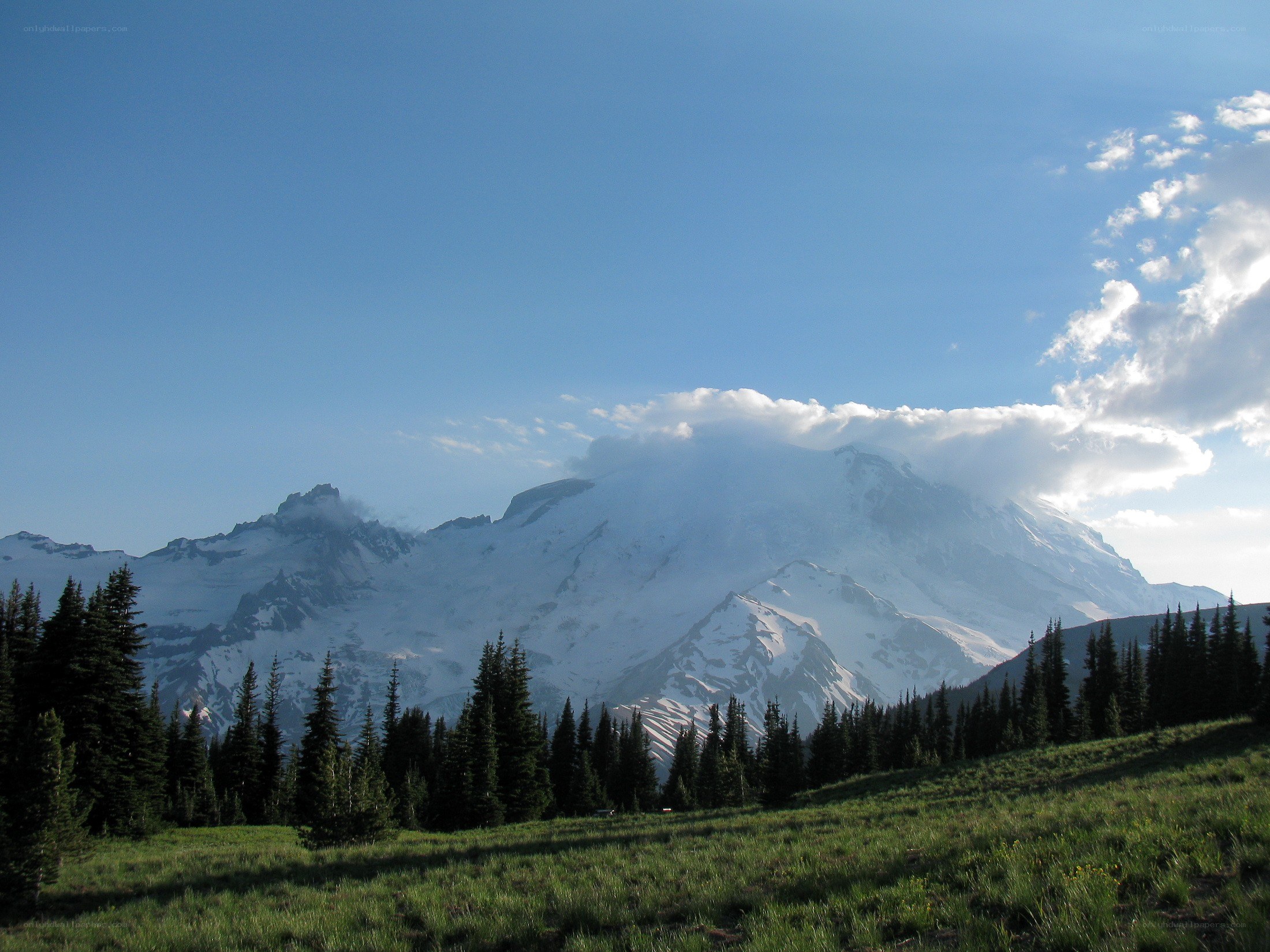 Snow-capped mountain with forest