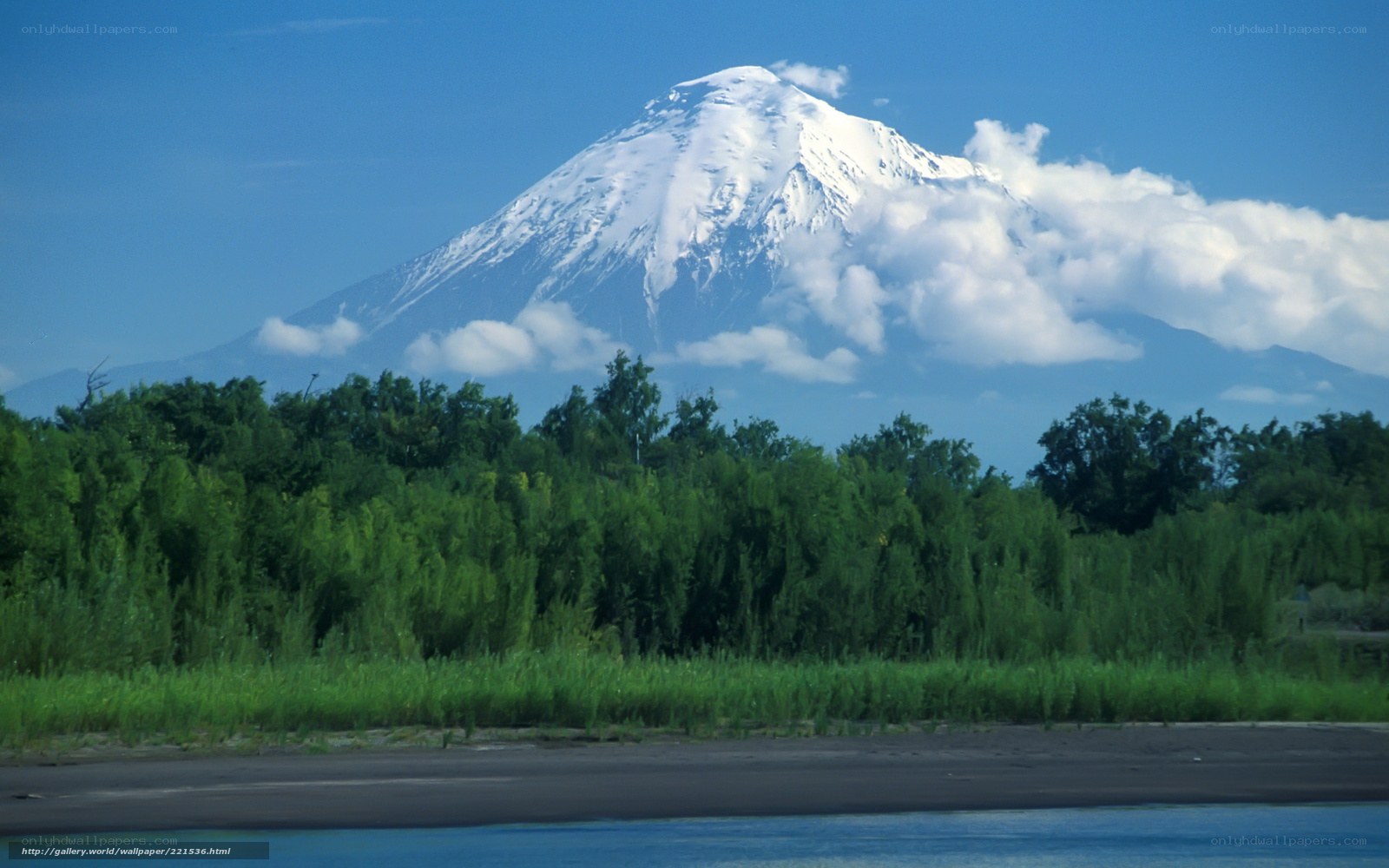 Snow-capped mountain with forest