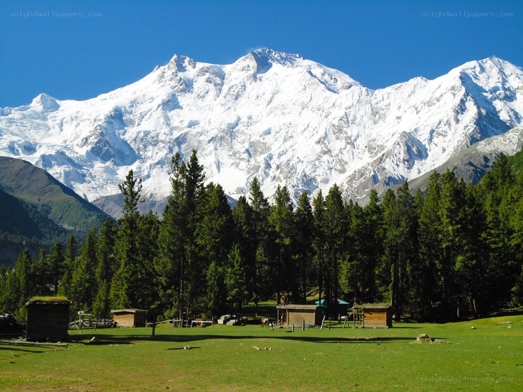 Snow-capped mountain with forest