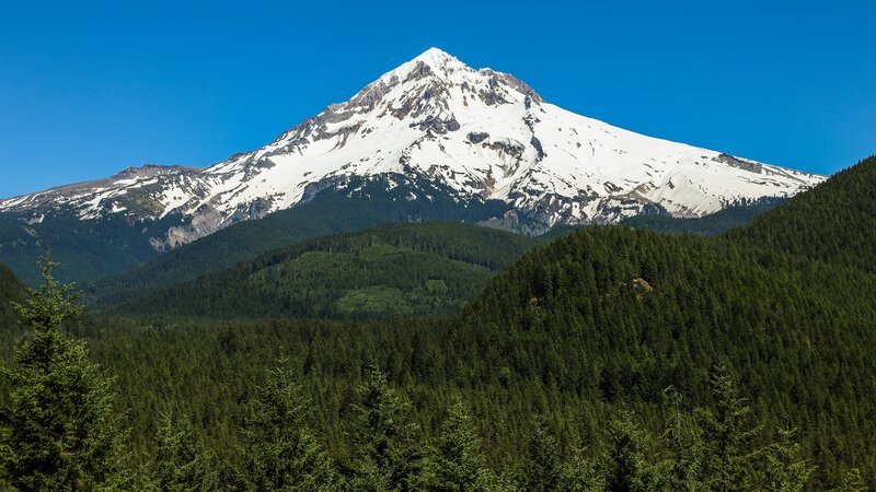 Snow-capped mountain with forest