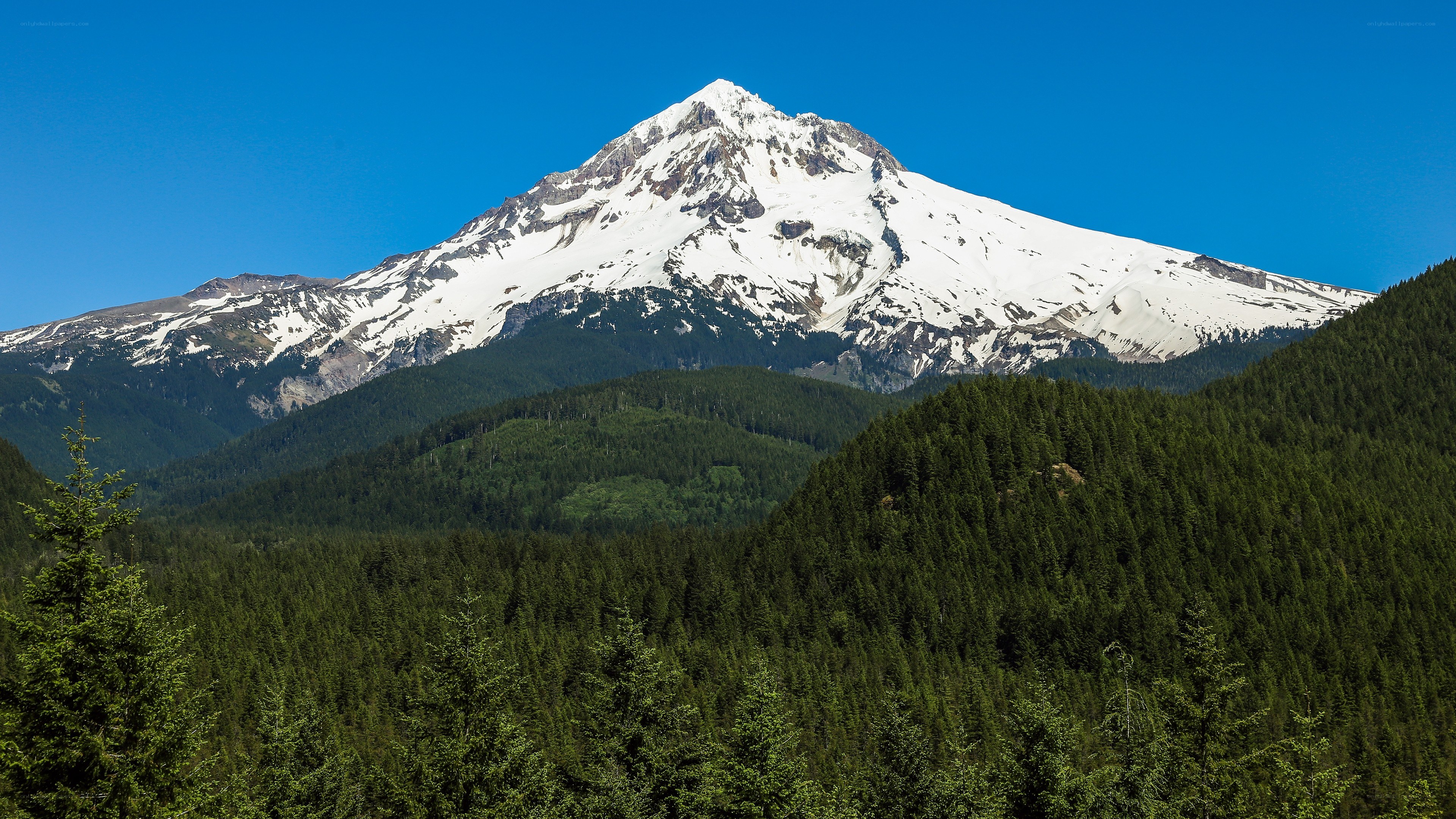 Snow-capped mountain with forest