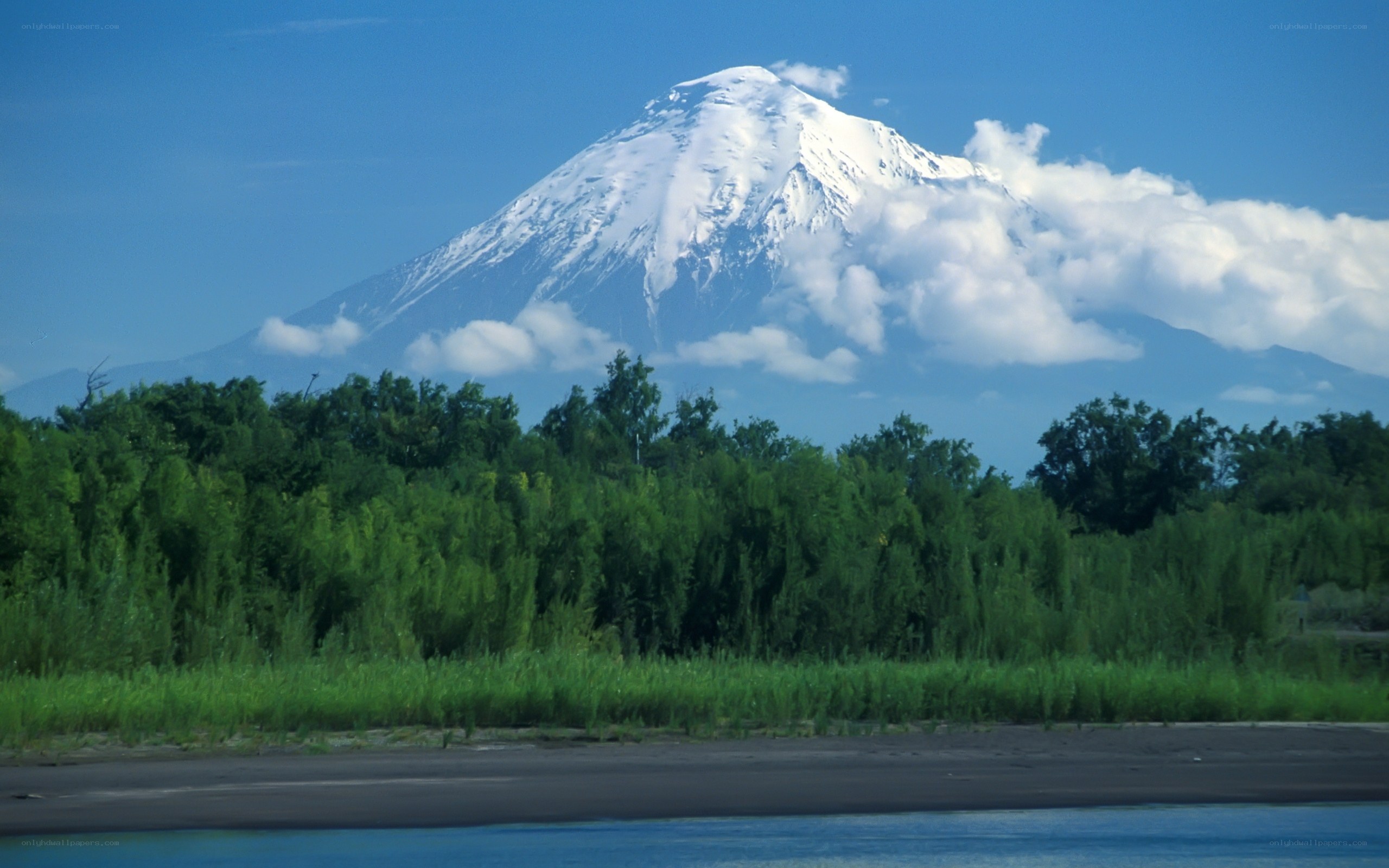 Snow-capped mountain with forest