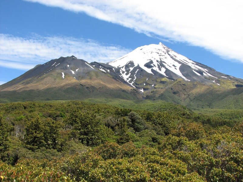 Snow-capped mountain with forest