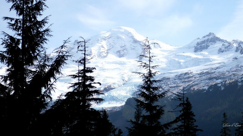 Snow-capped mountain with forest