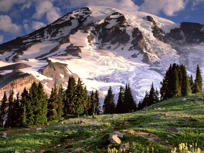 Snow-capped mountain with forest