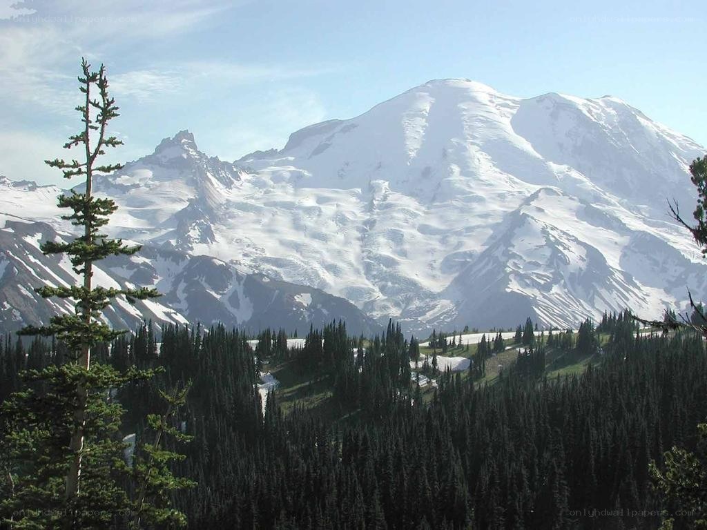 Snow-capped mountain with forest