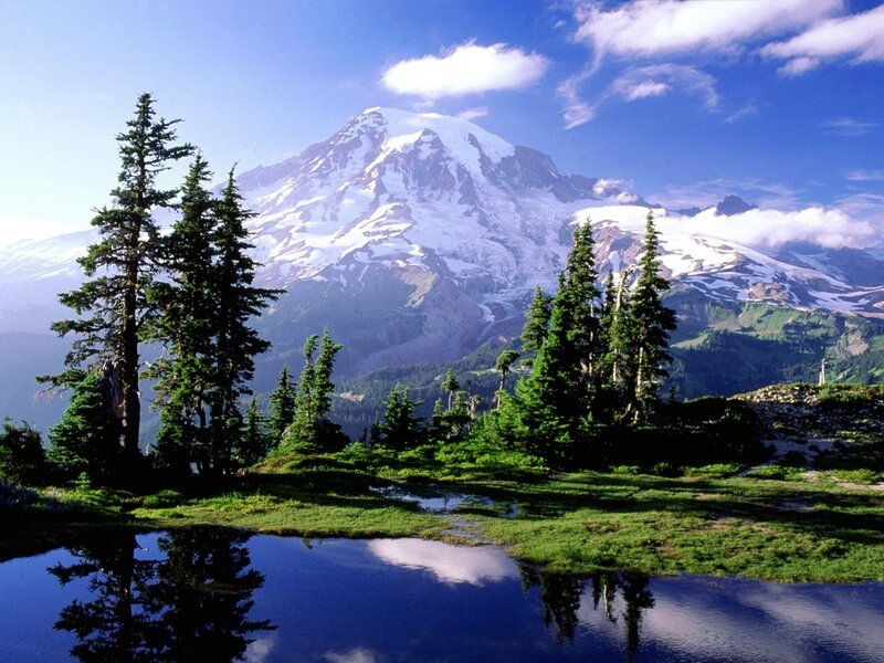 Snow-capped mountain with forest reflection