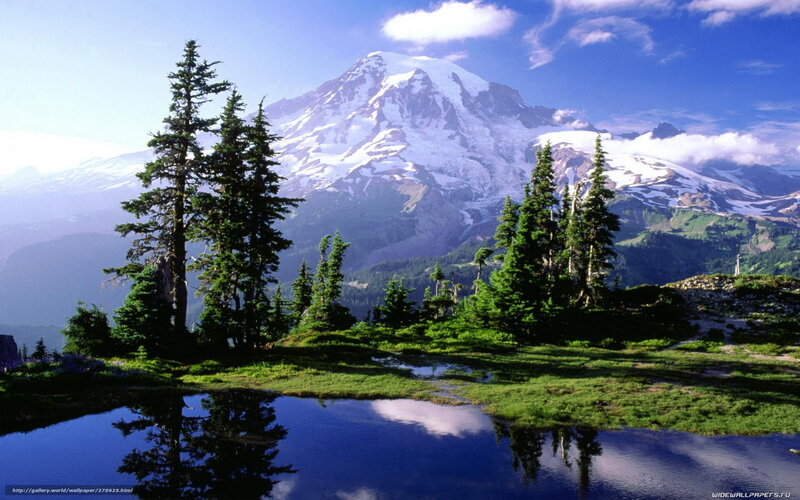 Snow-capped mountain with forest reflection