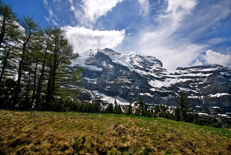 Snow-capped mountain with green meadow