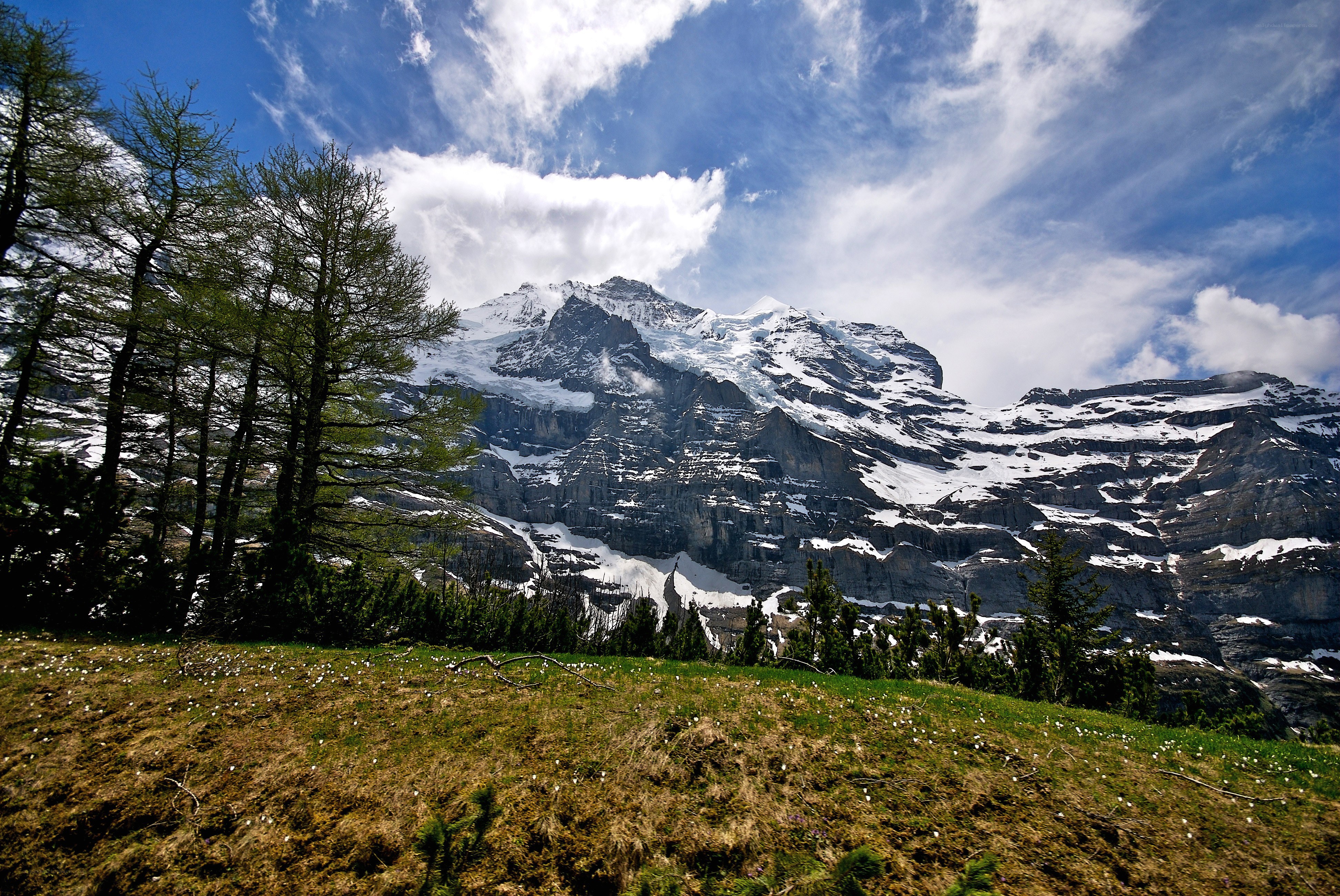 Snow-capped mountain with green meadow