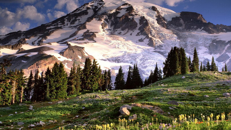Snow-capped mountain with wildflowers