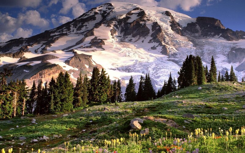 Snow-capped mountain with wildflowers