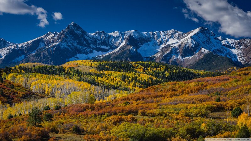 Snow-capped Mountains and Autumn Forest — Blue