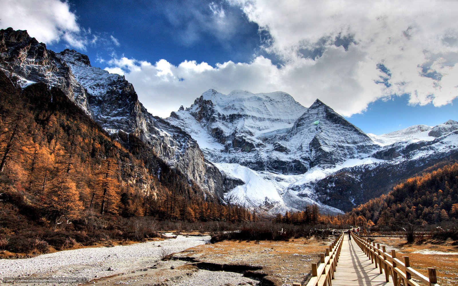 Snow-capped mountains and autumn forest