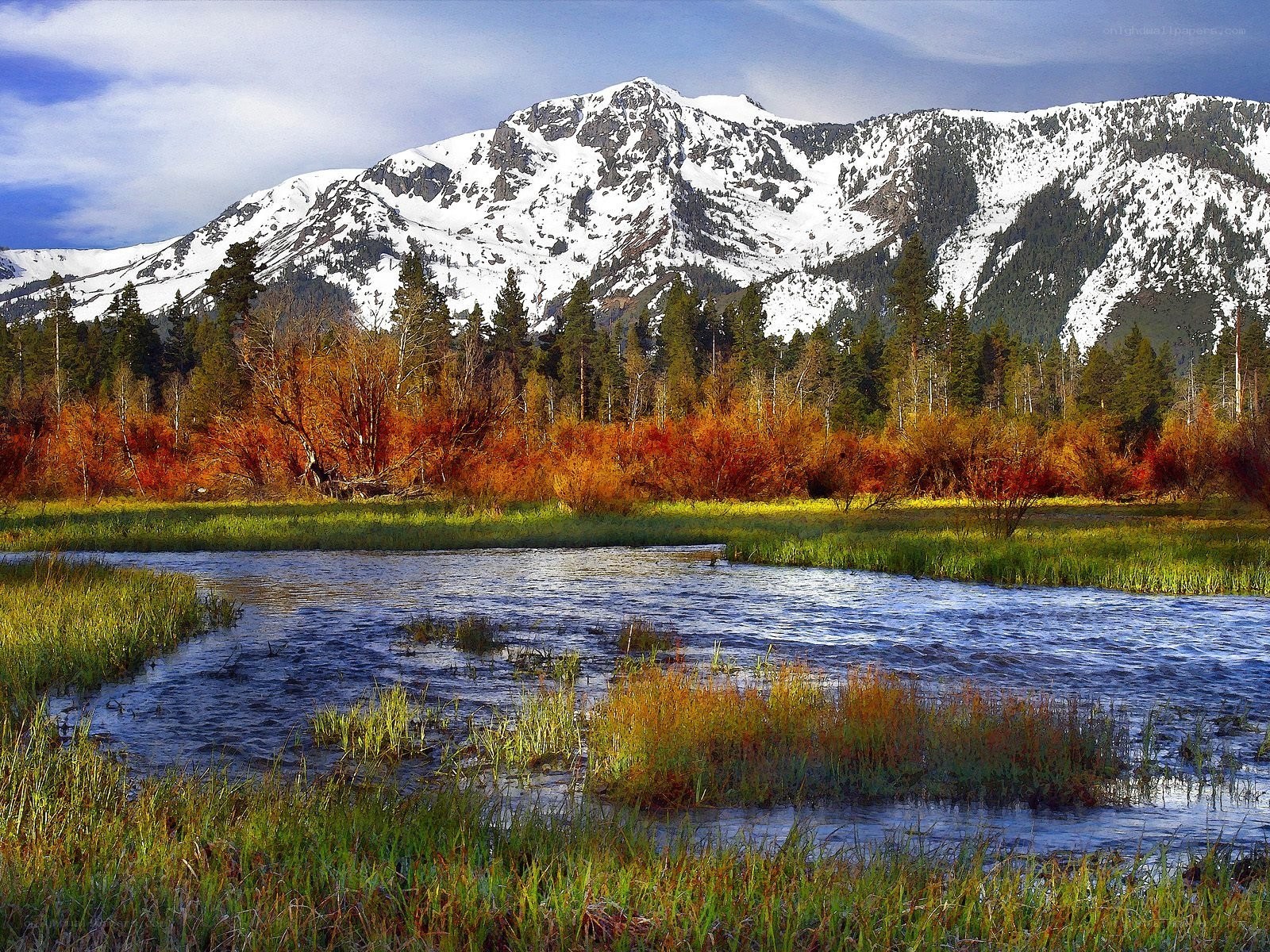 Snow-capped mountains and autumn marsh