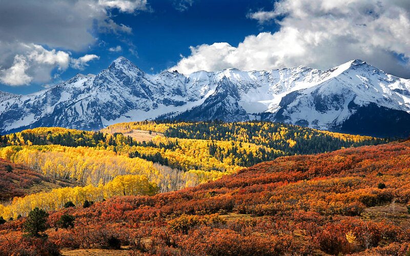 Snow-capped Mountains and Autumn Trees — Blue