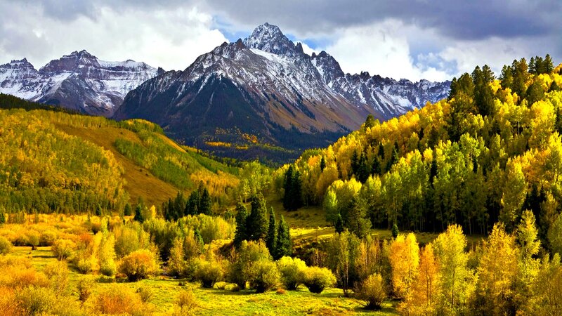 Snow-capped Mountains and Autumn Trees — Yellow, Dramatic, Photograph