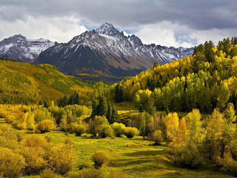 Snow-capped Mountains and Autumn Trees — Yellow, Dramatic