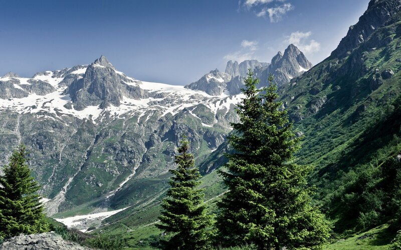 snow-capped mountains and evergreen trees