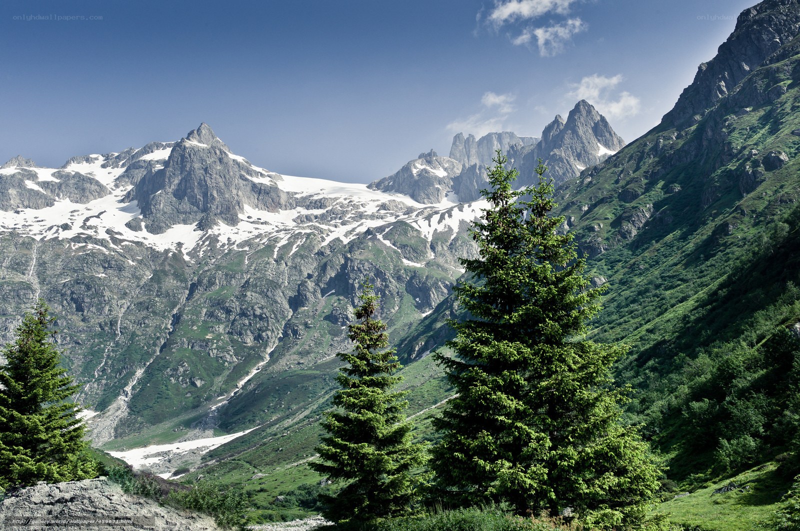 Snow-capped mountains and evergreen trees
