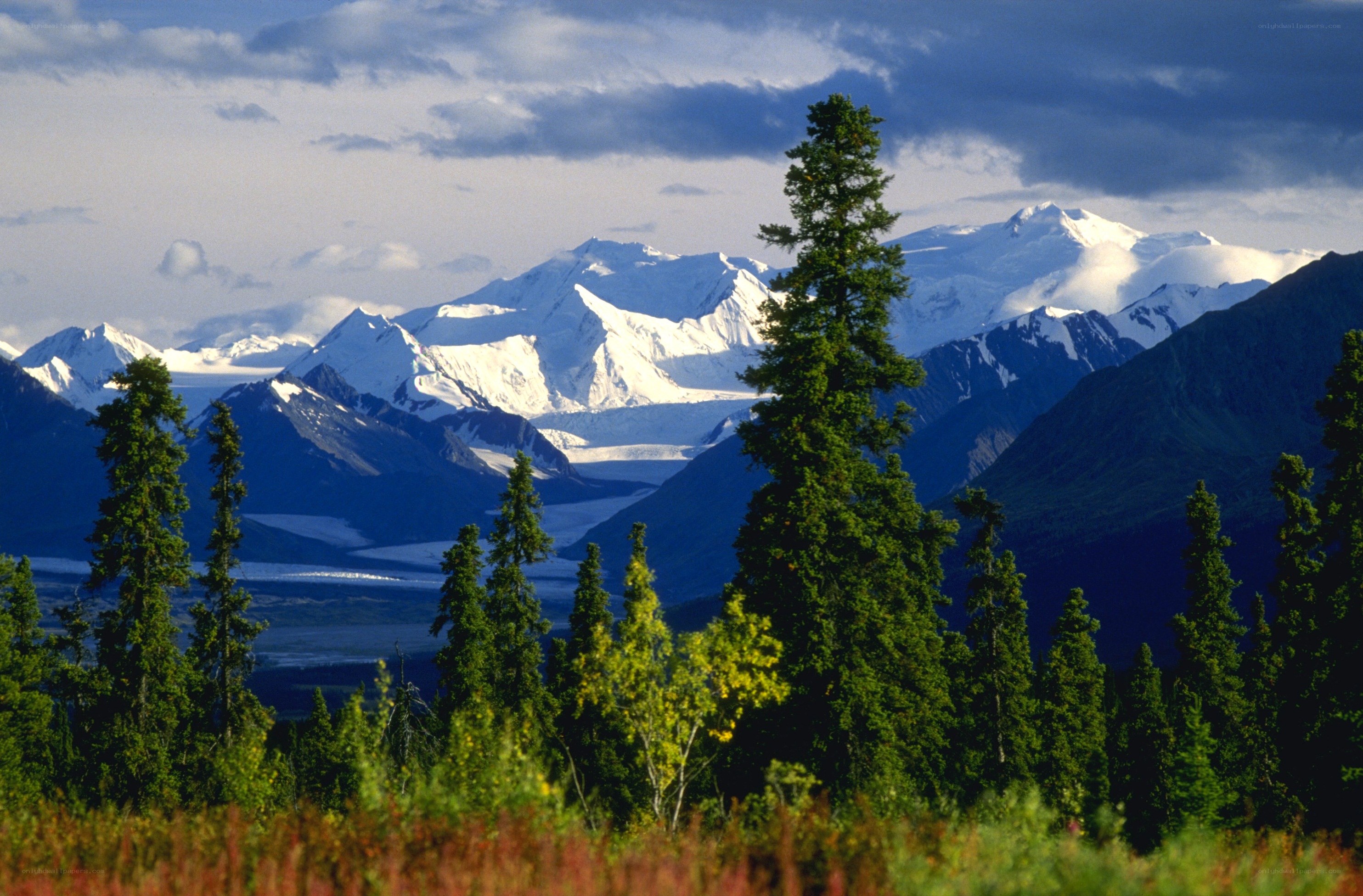 Snow-capped mountains and evergreen trees