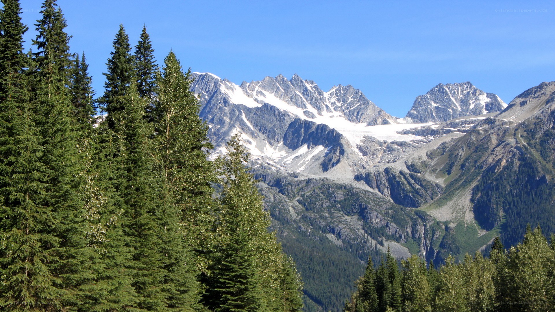 Snow-capped mountains and evergreen trees