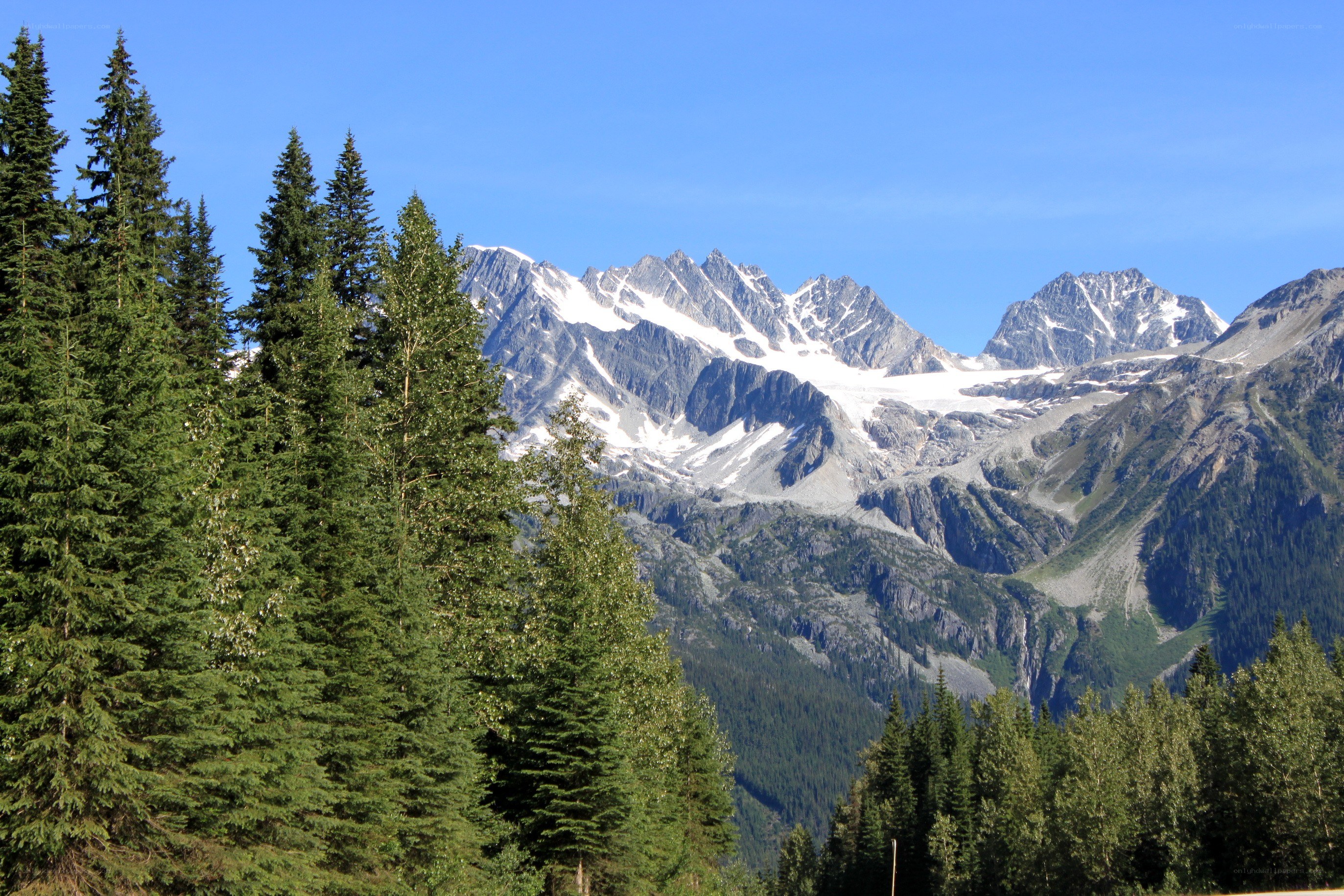 Snow-capped mountains and evergreen trees