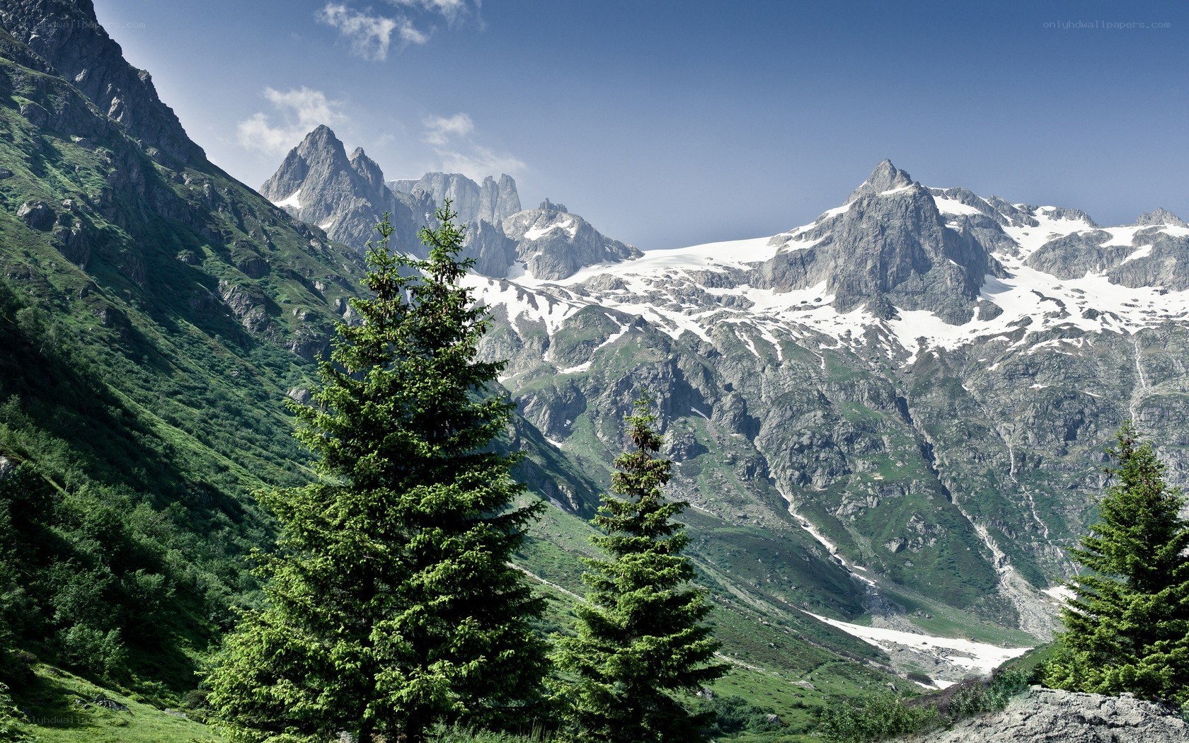 Snow-capped mountains and evergreen trees