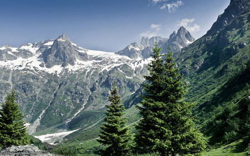Snow-capped mountains and evergreen trees