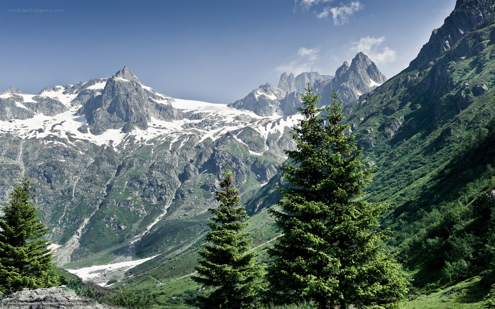Snow-capped mountains and evergreen trees
