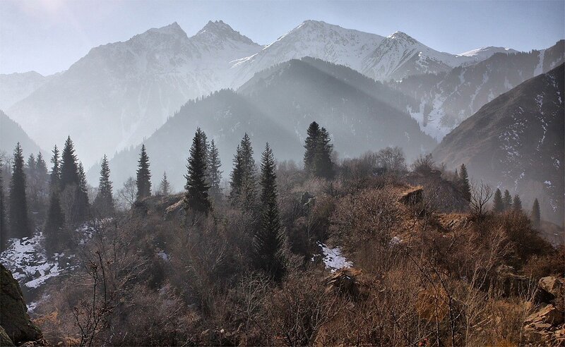 Snow-capped mountains and evergreens