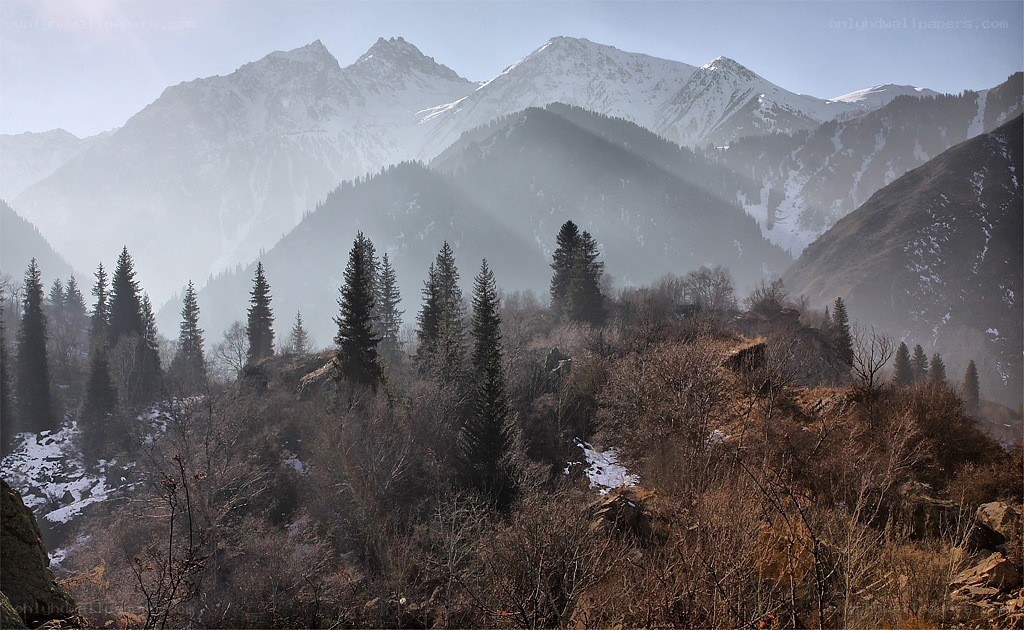 Snow-capped mountains and evergreens