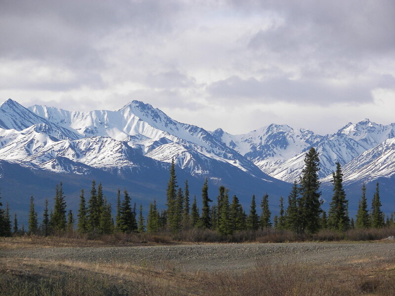 snow-capped mountains and evergreens